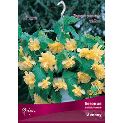 ����  ������� ��������� ������ (2 ��.), ������ �� 374 ���