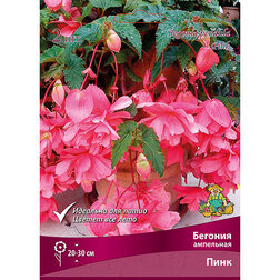 ����  ������� ��������� ���� (2 ��.), ������ �� 374 ���