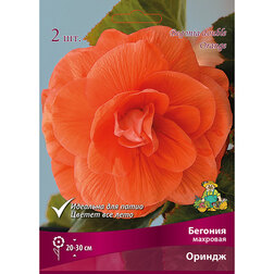 ����  ������� �������� ������, ������ �� 357 ���