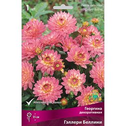 ����  �������� ������������ ������� ������� (1 ��.), ������ �� 467 ���