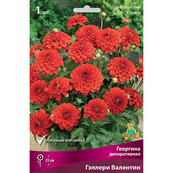 ����  �������� ������������ ������� ��������, ������ �� 467 ���