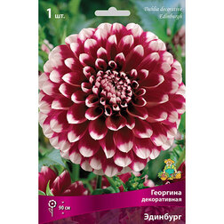 ����  �������� ������������ ��������, ������ �� 433 ���