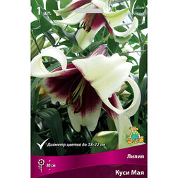 ����  ����� ������� ���� ��� (1 ��.), ������ �� 411 ���