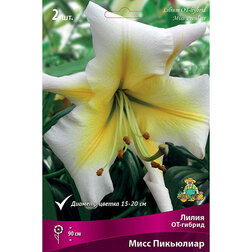 ����  ����� ��-������ ���� ��������� (2 ��.), ������ �� 421 ���