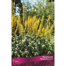 ����  ��������� �������������, ������ �� 357 ���