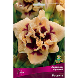 ����  �������� ��������� (�������), ������ �� 501 ���