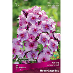 ����  ����� ����������� ���� ���� ���, ������ �� 348 ���