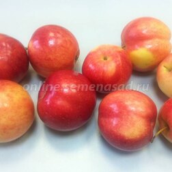      ( 54-118 ) ( ),   648 