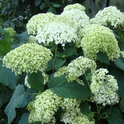 ����  ��������� ����������� ��������, ������ �� 671 ���