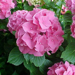 ����  �������������� ��������� ����� ����, ������ �� 612 ���