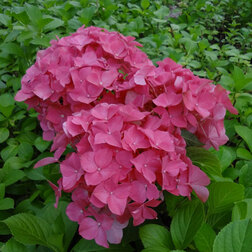 ����  ��������� �������������� ������ �����, ������ �� 612 ���