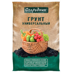 ����  ���������� ��������� ������������� (22 �), ������ �� 300 ���