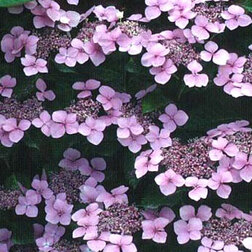 ����  ��������� �������������� ������ ��������, ������ �� 612 ���