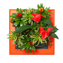 ����  ��������� � �������� ���������������� ������ (���������), ������ �� 2798 ���