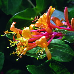 ����  ��������� ������� �������� �����, ������ �� 697 ���