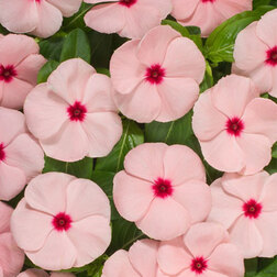 ����  ���������� ������� ��� (1��-1000��) ���������������� ������, ������ �� 2240 ���