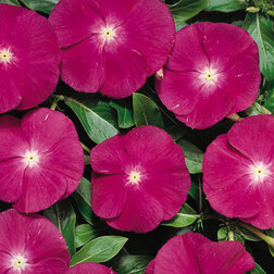 ����  ���������� ������� ��������� (1��-1000��) ���������������� ������, ������ �� 2240 ���