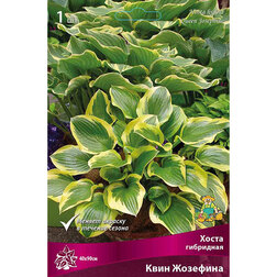 ����  ����� ��������� ���� ��������, ������ �� 382 ���