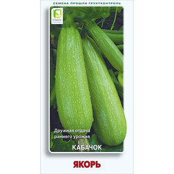 ����  ������� �����, ������ �� 25 ���