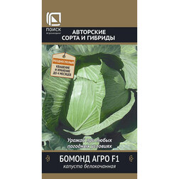 ����  ������� ������������ ������ ���� F1, ������ �� 44 ���