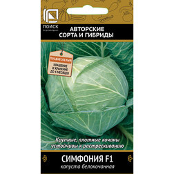 ����  ������� ������������ �������� F1, ������ �� 44 ���