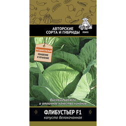      F1 ( .   2024 ),   22 