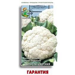 ����  ������� ������� ��������, ������ �� 30 ���