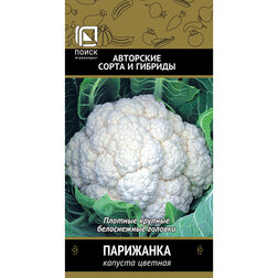 ����  ������� ������� ���������, ������ �� 31 ���