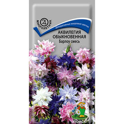 ����  ��������� ������������ ������ �����, ������ �� 40 ���