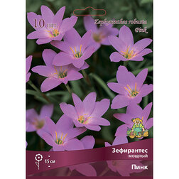 ����  ���������� ������ ���� (10 ��.), ������ �� 328 ���