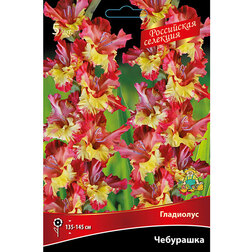 ����  ��������� ��������� (5 ��.), ������ �� 637 ���