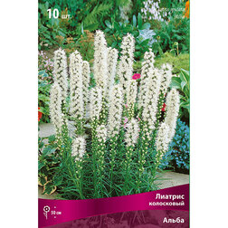 ����  ������� ���������� ����� (10 ��.), ������ �� 328 ���