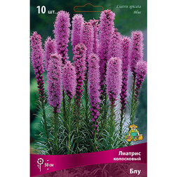 ����  ������� ���������� ��� (10 ��.), ������ �� 280 ���