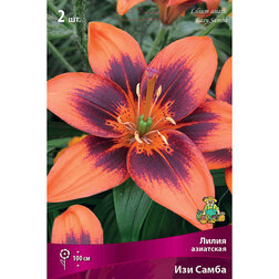 ����  ����� ��������� ��� ����� (2 ��.), ������ �� 438 ���