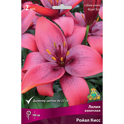 ����  ����� ��������� ����� ���� (2 ��.), ������ �� 319 ���