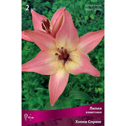 ����  ����� ��������� ����� ������ (2 ��.), ������ �� 370 ���