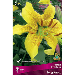 ����  ����� ��-������ ���� ����� (2 ��.), ������ �� 421 ���