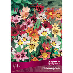 ����  ��������� ���������� ����� ������� (10 ��.), ������ �� 229 ���