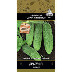 ����  ������ ������ F1, ������ �� 31 ���