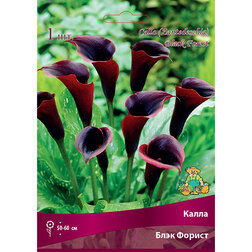 ����  ����� ���� ������, ������ �� 360 ���