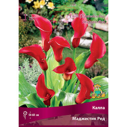 ����  ����� ��������� ���, ������ �� 360 ���