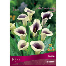 ����  ����� �������, ������ �� 360 ���