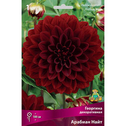 ����  �������� ������������ ������� ���� (1 ��.), ������ �� 421 ���