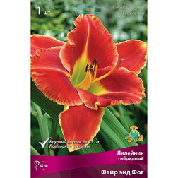 ����  �������� ��������� ���� ��� ���, ������ �� 501 ���