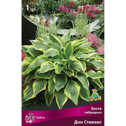 ����  ����� ��������� ��� �������, ������ �� 292 ���