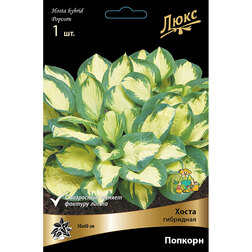 ����  ����� ��������� �������, ������ �� 552 ���