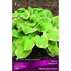 ����  ����� ��������� ��������� �����, ������ �� 263 ���