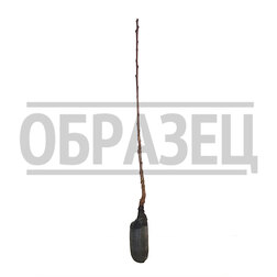 ����  ����� �������, ������ �� 439 ���