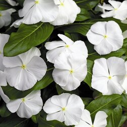 ����  ���������� �������� ����(1��-100��) ���������������� ������, ������ �� 352 ���