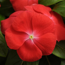 ����  ���������� �������� ����� (1��-100��)���������������� ������, ������ �� 352 ���